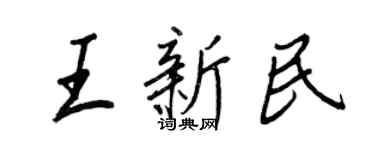 王正良王新民行书个性签名怎么写