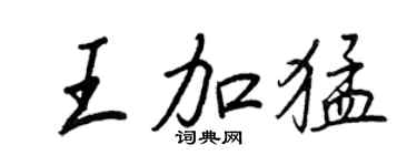 王正良王加猛行书个性签名怎么写