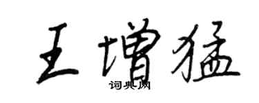 王正良王增猛行书个性签名怎么写