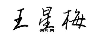 王正良王星梅行书个性签名怎么写