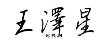 王正良王泽星行书个性签名怎么写
