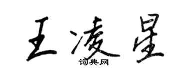王正良王凌星行书个性签名怎么写