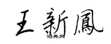 王正良王新凤行书个性签名怎么写