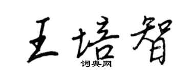 王正良王培智行书个性签名怎么写