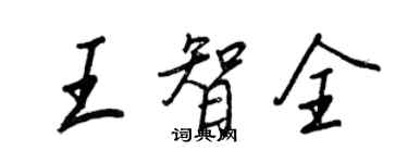 王正良王智全行书个性签名怎么写