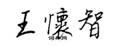 王正良王怀智行书个性签名怎么写