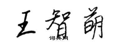 王正良王智萌行书个性签名怎么写