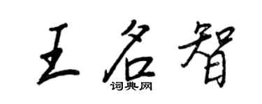 王正良王名智行书个性签名怎么写
