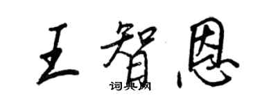 王正良王智恩行书个性签名怎么写