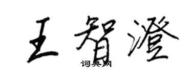 王正良王智澄行书个性签名怎么写