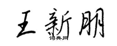 王正良王新朋行书个性签名怎么写