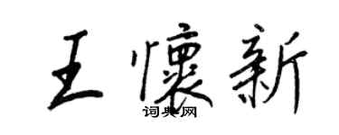 王正良王怀新行书个性签名怎么写