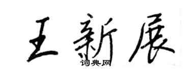 王正良王新展行书个性签名怎么写