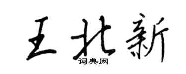 王正良王北新行书个性签名怎么写