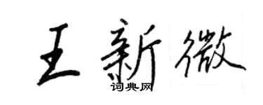 王正良王新微行书个性签名怎么写