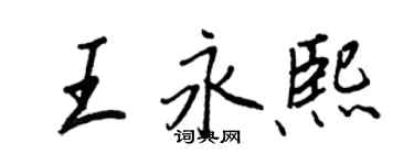 王正良王永熙行书个性签名怎么写