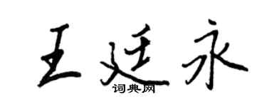 王正良王廷永行书个性签名怎么写
