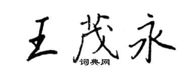 王正良王茂永行书个性签名怎么写
