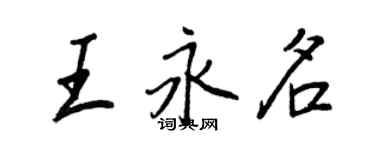 王正良王永名行书个性签名怎么写