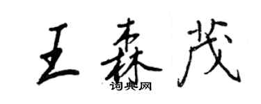 王正良王森茂行书个性签名怎么写