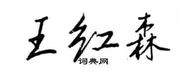王正良王红森行书个性签名怎么写