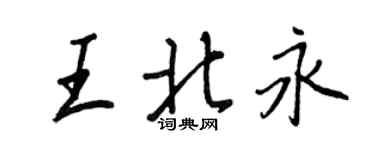 王正良王北永行书个性签名怎么写