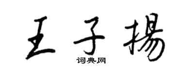 王正良王子扬行书个性签名怎么写
