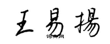 王正良王易扬行书个性签名怎么写