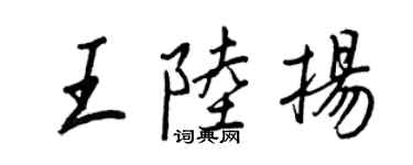 王正良王陆扬行书个性签名怎么写