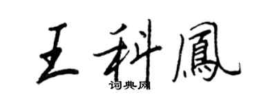 王正良王科凤行书个性签名怎么写