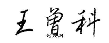 王正良王曾科行书个性签名怎么写
