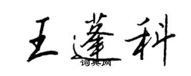 王正良王蓬科行书个性签名怎么写
