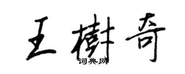 王正良王树奇行书个性签名怎么写