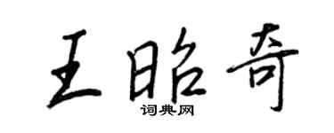 王正良王昭奇行书个性签名怎么写