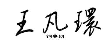 王正良王凡环行书个性签名怎么写