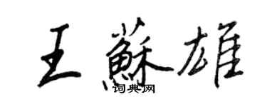 王正良王苏雄行书个性签名怎么写