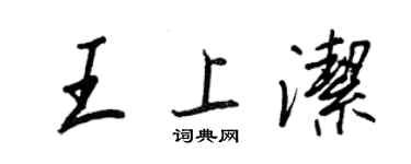 王正良王上洁行书个性签名怎么写