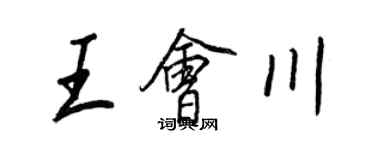 王正良王会川行书个性签名怎么写