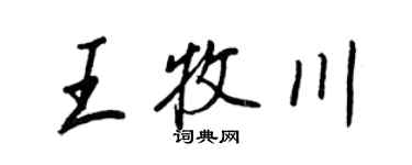 王正良王牧川行书个性签名怎么写