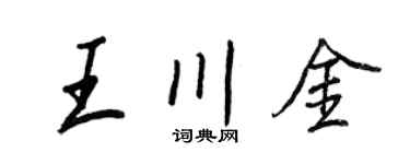 王正良王川金行书个性签名怎么写