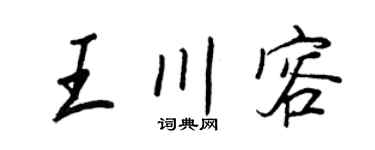 王正良王川容行书个性签名怎么写