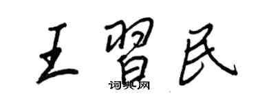王正良王习民行书个性签名怎么写