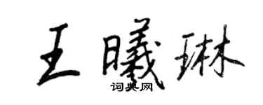 王正良王曦琳行书个性签名怎么写