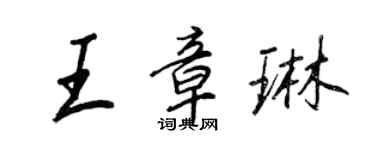 王正良王章琳行书个性签名怎么写