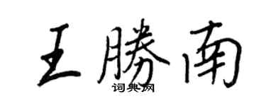 王正良王胜南行书个性签名怎么写