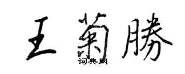 王正良王菊胜行书个性签名怎么写