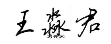 王正良王淼君行书个性签名怎么写