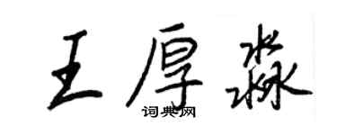 王正良王厚淼行书个性签名怎么写