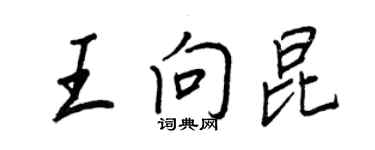 王正良王向昆行书个性签名怎么写