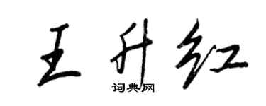 王正良王升红行书个性签名怎么写